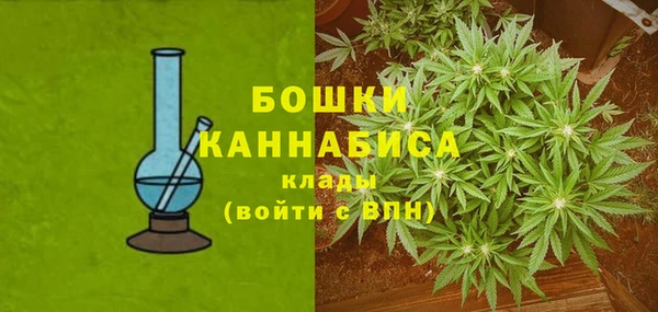 PSILOCYBIN Арсеньев