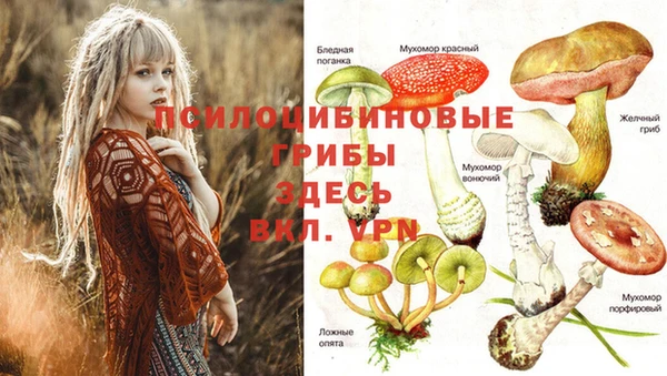 кокаин Армянск