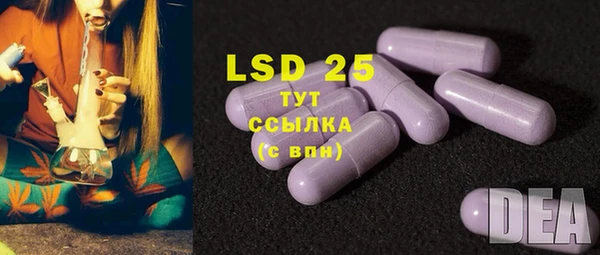 PSILOCYBIN Арсеньев