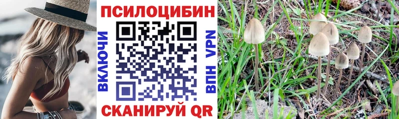 kraken ONION  Фролово  Галлюциногенные грибы Cubensis  купить наркотики цена 